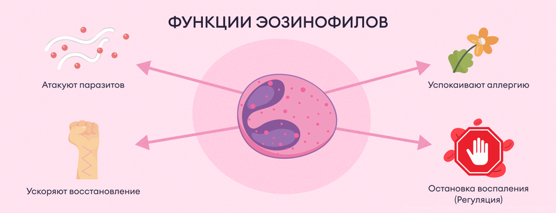 Эозинофилы