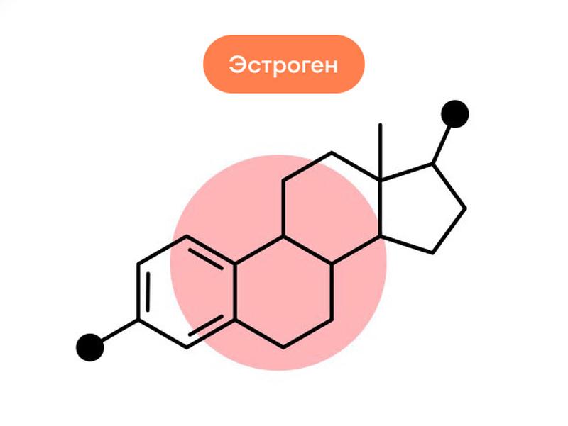 Что такое гормон эстроген