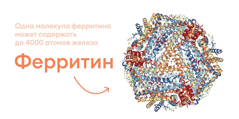 Зачем сдавать анализ на ферритин