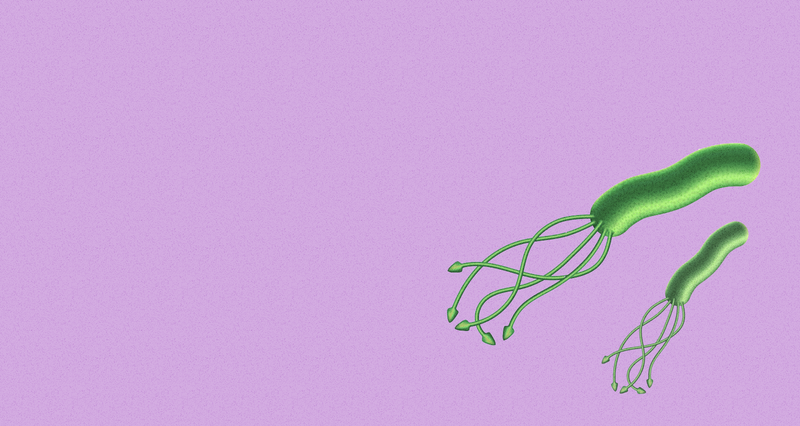 Helicobacter pylori: виды анализов, подготовка, показания, расшифровка ...