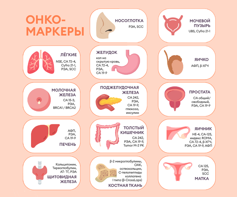 Какие анализы крови сдать на рак? Онкомаркеры, ОАК, биохимия для ...